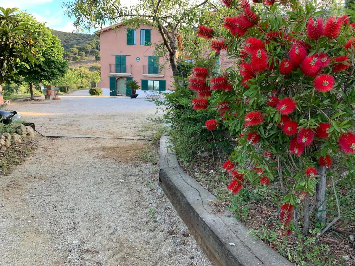 Can Ballús Bed&Breakfast Tiana Exterior foto